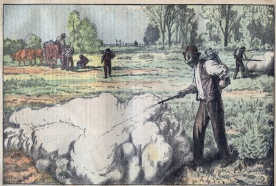 La destruction des mulots (Apodemus) par le gaz asphyxiant à l