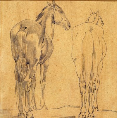 Studie von zwei Pferden - Eugène Fromentin