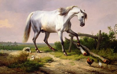 Un étalon gris avec des moutons et des volailles - Eugene Joseph Verboeckhoven