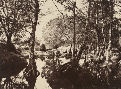 Belle-Croix,1860s (photo) - Eugène Cuvelier