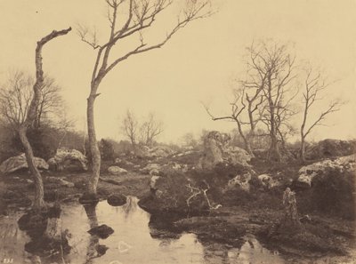 Belle Croix,c. 1858 (photo) - Eugène Cuvelier