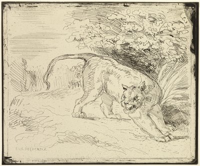 Le tigre prêt pour le printemps - Eugène Delacroix