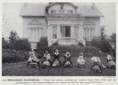 La ménagerie Hagenbeck - European Photographer
