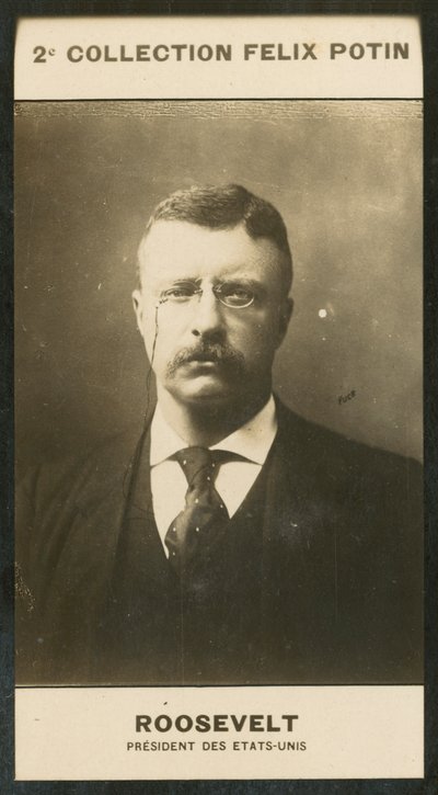 Theodore Roosevelt, Président des États-Unis - European Photographer