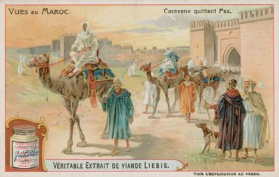 Une caravane quittant Fès - European School