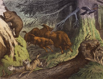 Une forêt russe, montrant l