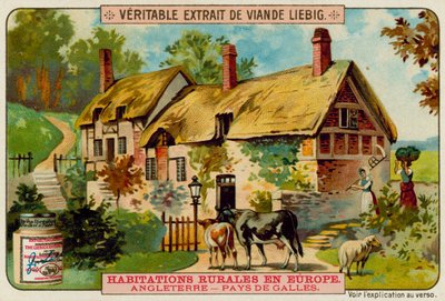 Ferme galloise - European School
