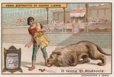 Androclès et le lion - European School