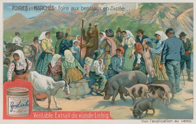 Foire aux animaux en Sicile - European School