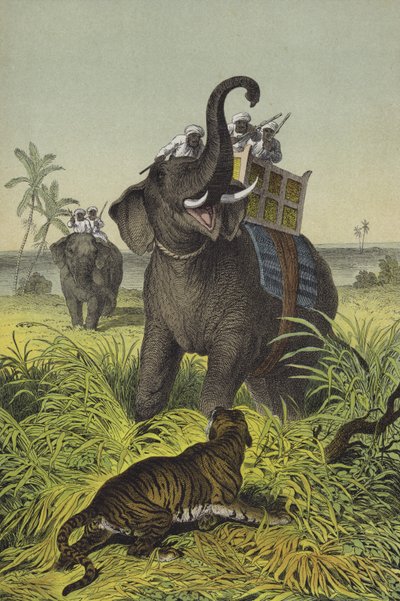 Animaux et plantes de l