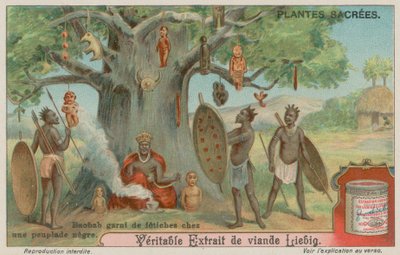 Arbre Baobab décoré de fétiches par une tribu africaine - European School
