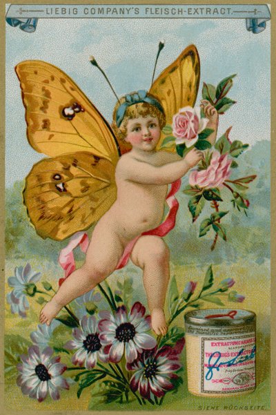 Chérubin Papillon avec des Marguerites - European School