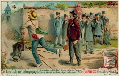 Chasse aux Papillons et Photographie - European School