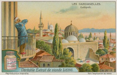Appel à la prière, Gallipoli - European School