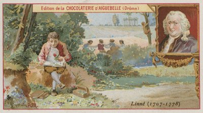 Carl von Linné, botaniste et zoologiste suédois - European School