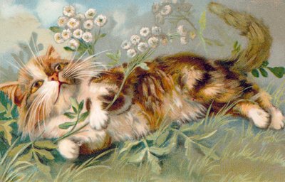 Carte postale de chat (lithographie couleur) - European School