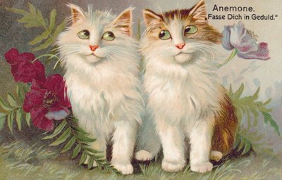 Carte postale de chat (lithographie couleur) - European School
