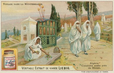 Cimetière près de Blida en Algérie - European School