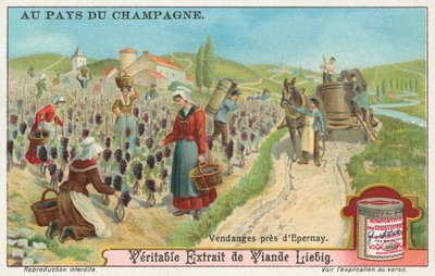 Champagne, carte de Liebig, début du 20e siècle (chromo) - European School