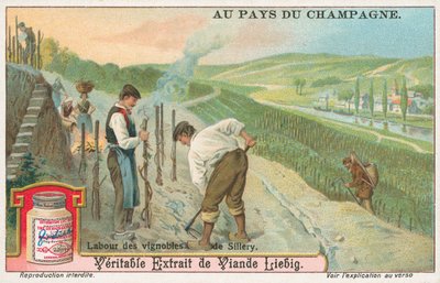 Champagne, carte de Liebig, début du 20e siècle (chromo) - European School
