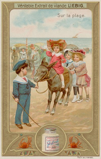 Enfants Faisant des Balades à Dos d
