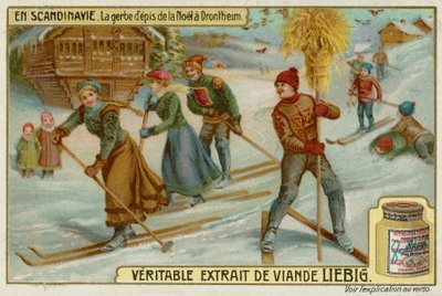 Gerbe de Noël à Trondheim - European School