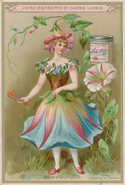 Fille aux Fleurs de Liseron - European School