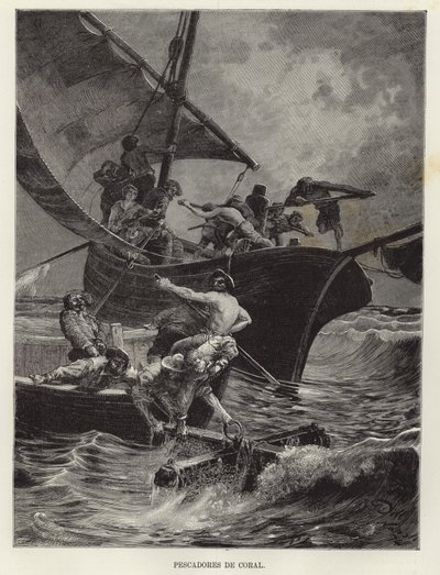 Pêcheurs de corail - European School