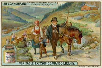 Bergers conduisant du bétail dans les montagnes - European School