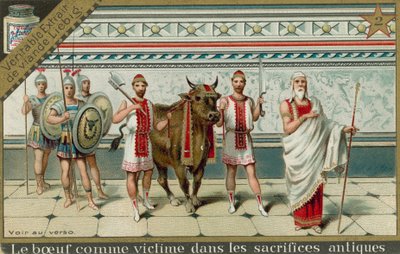 Vaches dans la Rome antique - European School