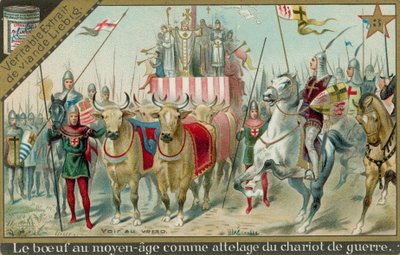 Vaches au Moyen Âge - European School
