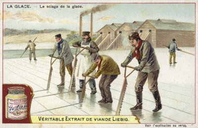 Couper de la glace avec des scies - European School