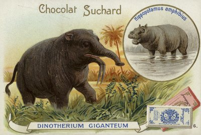 Deinotherium Giganteum et hippopotame - European School