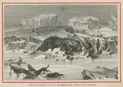 Découverte d