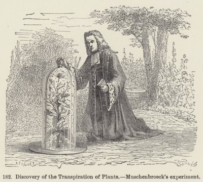 Découverte de la transpiration des plantes, expérience de Muschenbroeck - European School