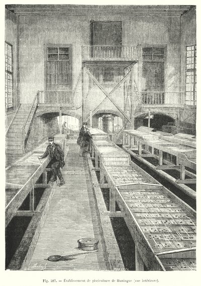 Établissement de pisciculture de Huningue, vue intérieure - European School