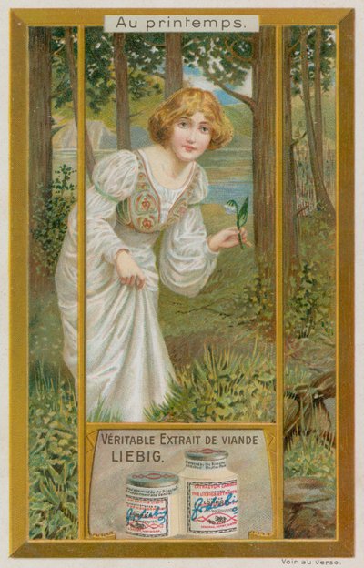 Fille avec des perce-neige - European School