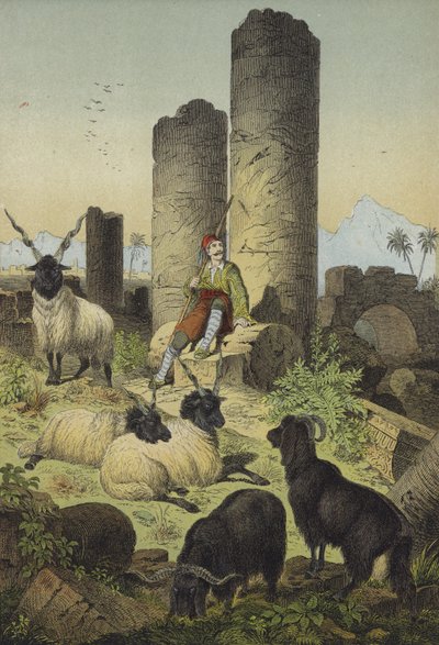 Berger grec avec des moutons valaches et des chèvres de Syrie - European School