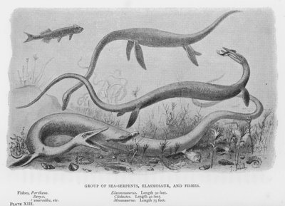 Groupe de serpents de mer, Elasmosaur, et poissons - European School