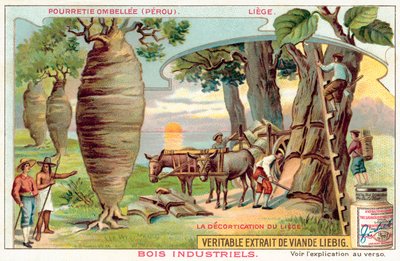 Récolte d