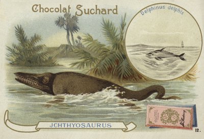 Ichthyosaure et dauphin commun - European School