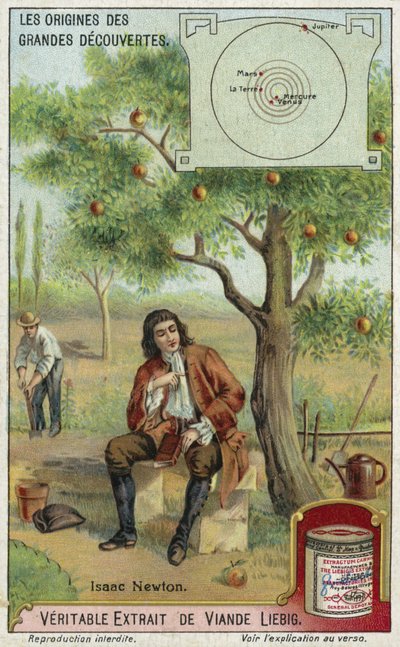 Isaac Newton et la gravité - European School