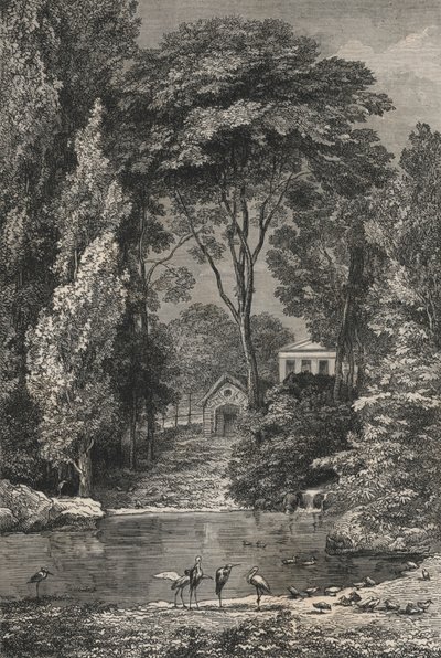La Vallée Suisse au Jardin des Plantes de Paris - European School