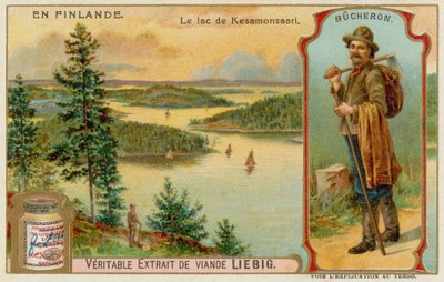 Bûcheron et lac et forêts près de Kesamonsaari - European School