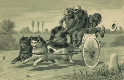 Singes conduisant une calèche tirée par deux chats - European School