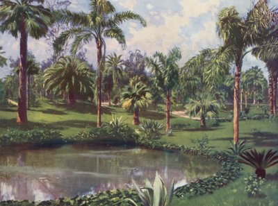 Monte-Carlo, Le Jardin du Casino (colour litho) - European School
