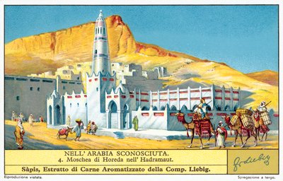 Mosquée de Horeda à Hadhramaut - European School
