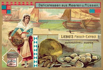 Moules et huîtres - European School