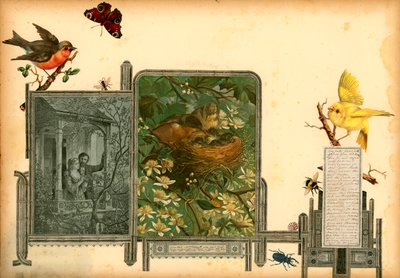Page du volume I de Sammelsurium (matériel imprimé) - European School