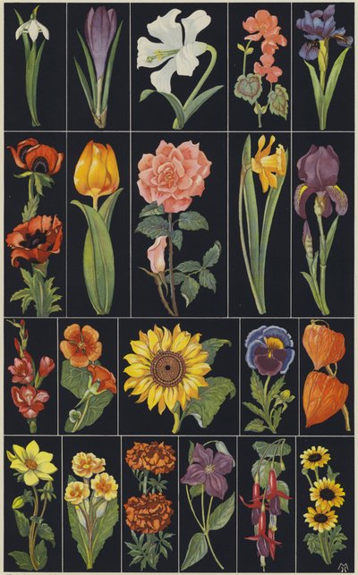 Page d
